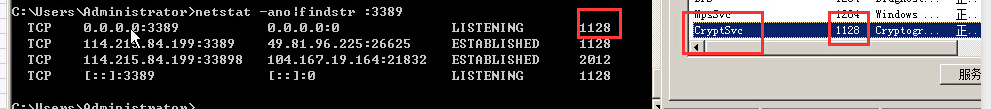 tests003.jpg
