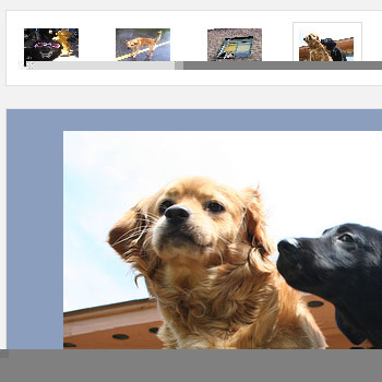 Image Gallery Using Mootools