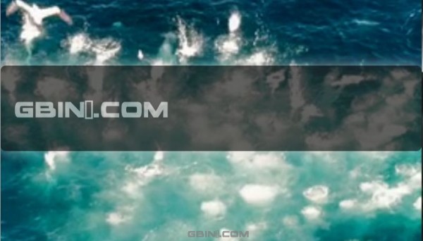 帮助你生成全屏视频背景的超棒jQuery插件 - BigVideo.js
