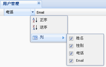 Ext-grid给列添加背景色 - 男哥 - 陈振国的博客