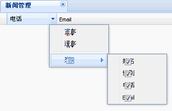 Ext-grid给列添加背景色 - 男哥 - 陈振国的博客