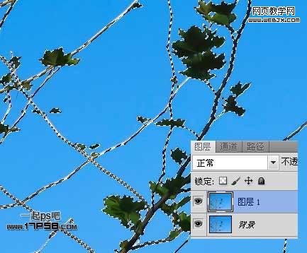Photoshop使用通道和计算命令给树枝抠图webjx.com