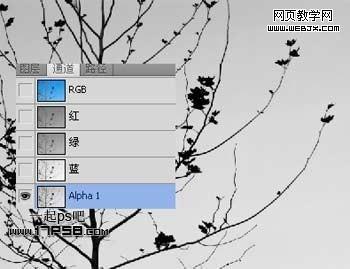 Photoshop使用通道和计算命令给树枝抠图webjx.com