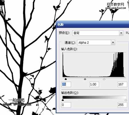 Photoshop使用通道和计算命令给树枝抠图webjx.com