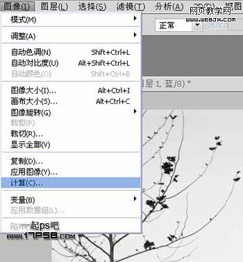Photoshop使用通道和计算命令给树枝抠图webjx.com