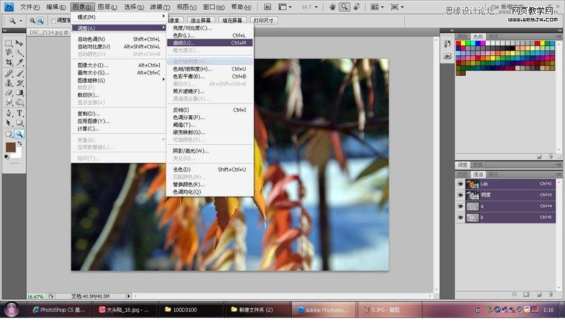 Photoshop调出秋季摄影图片通透色调