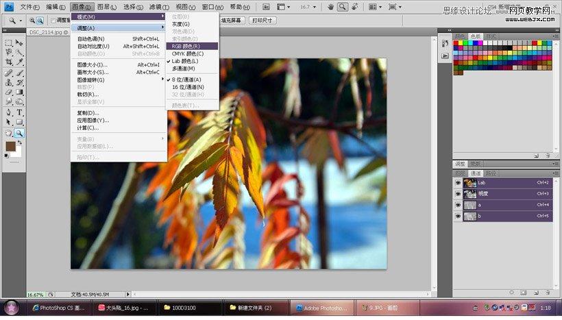 Photoshop调出秋季摄影图片通透色调