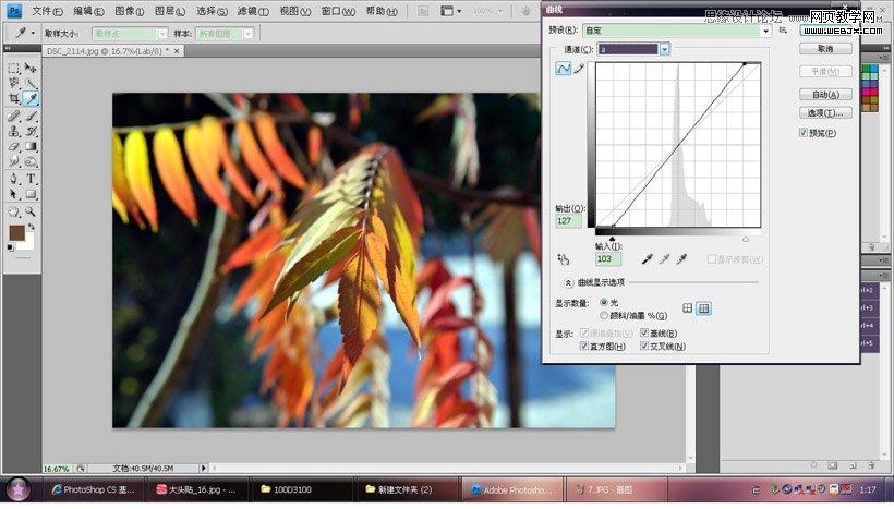 Photoshop调出秋季摄影图片通透色调
