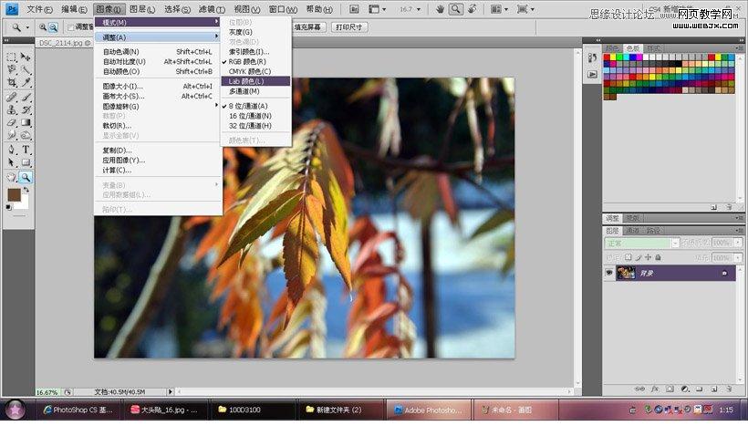Photoshop调出秋季摄影图片通透色调