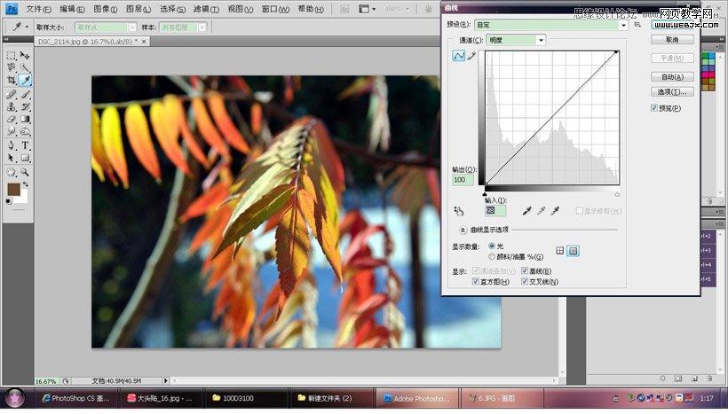 Photoshop调出秋季摄影图片通透色调
