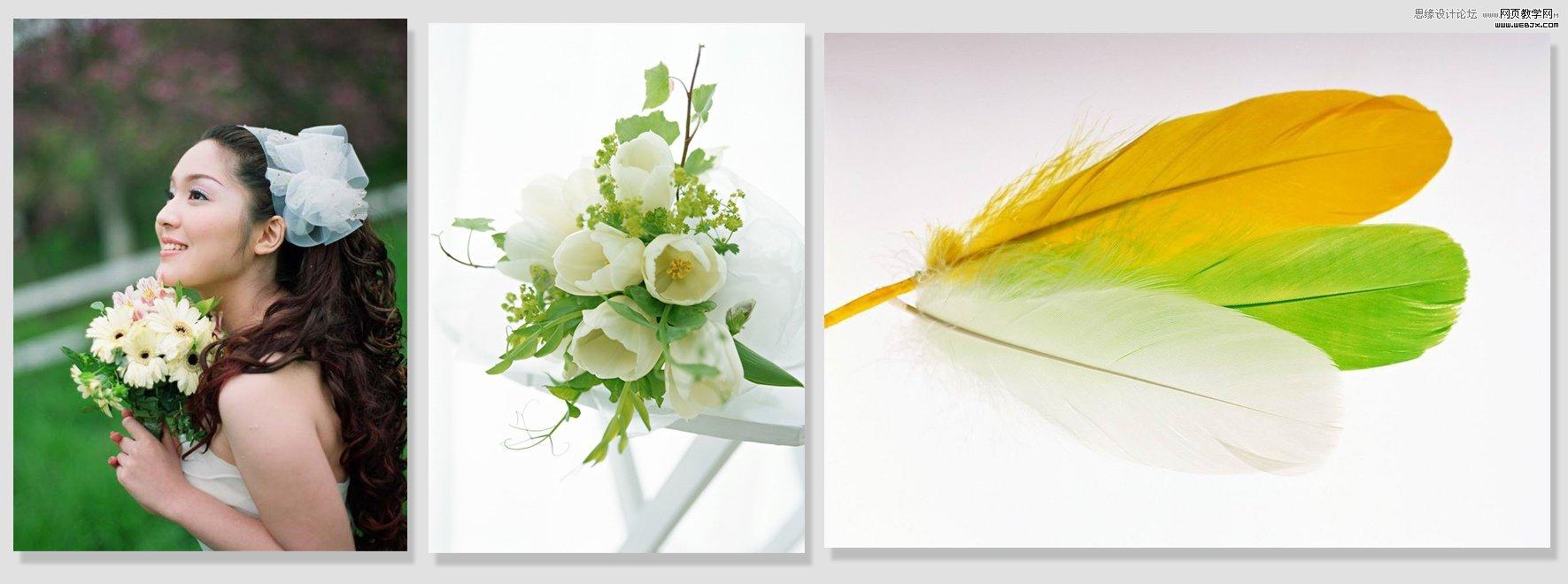 Photoshop制作清新的婚纱写真模板