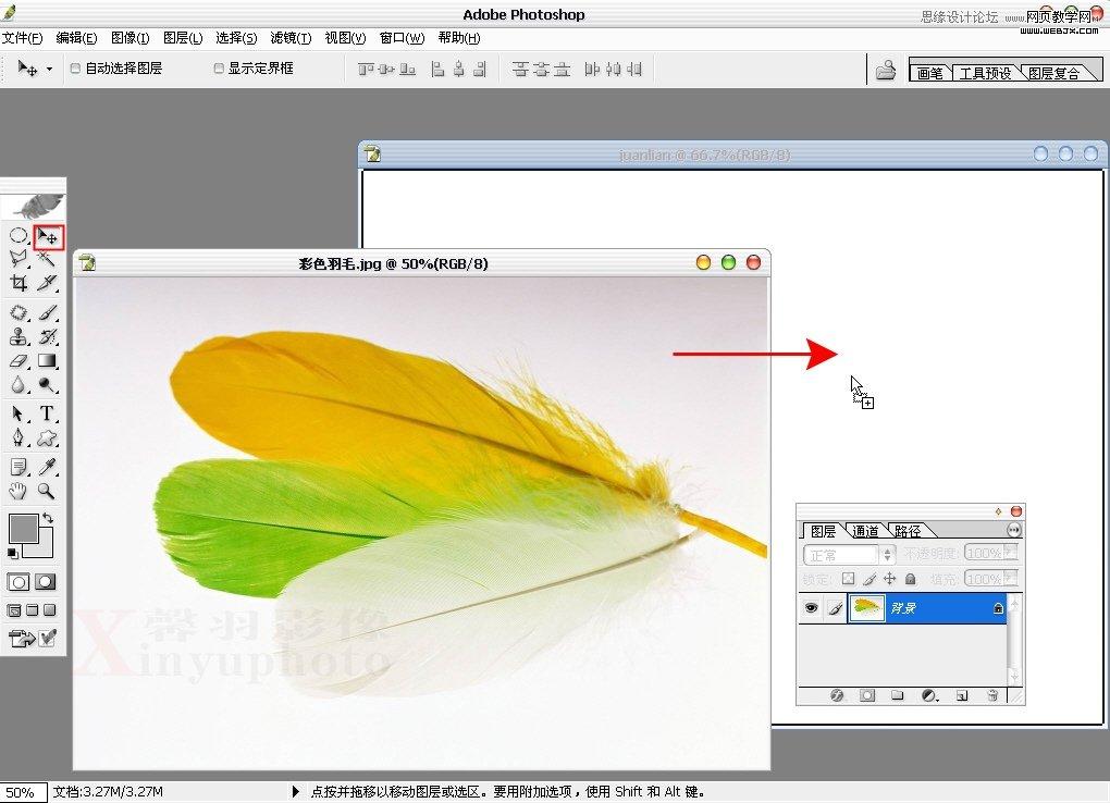 Photoshop制作清新的婚纱写真模板
