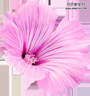 Photoshop制作试着对你微微笑动漫成签