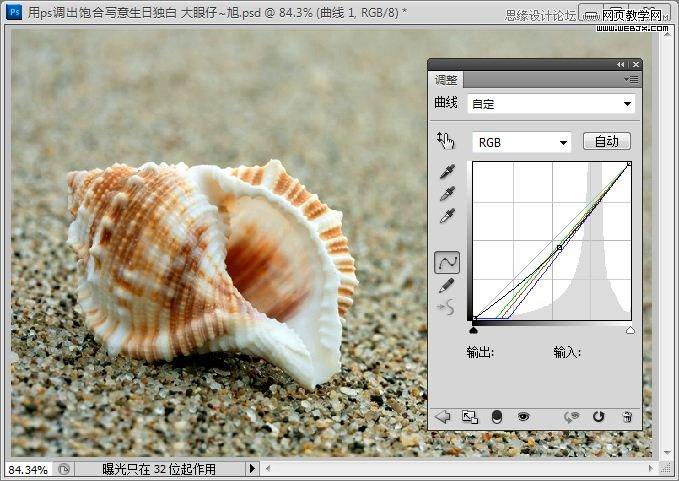 Photoshop写意效果教程:低调的沙滩海螺图片_webjx.com
