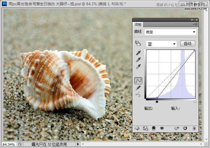 Photoshop写意效果教程:低调的沙滩海螺图片_webjx.com