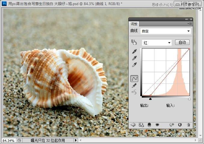 Photoshop写意效果教程:低调的沙滩海螺图片_webjx.com