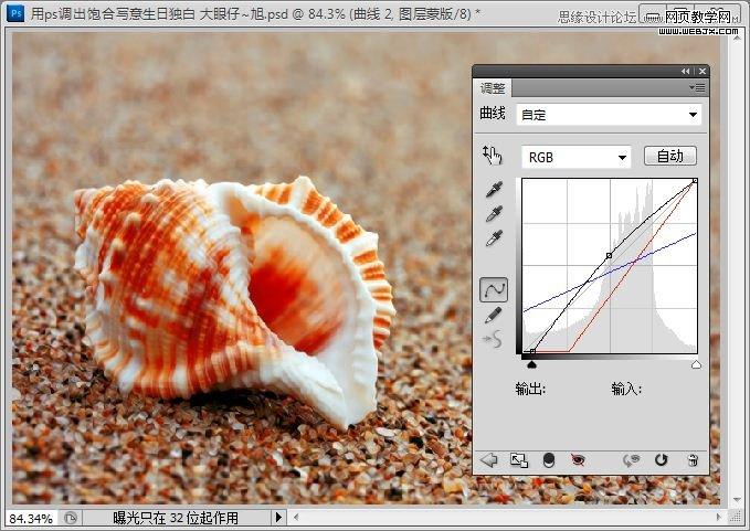 Photoshop写意效果教程:低调的沙滩海螺图片_webjx.com