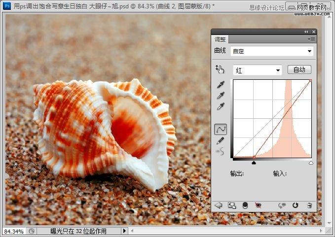Photoshop写意效果教程:低调的沙滩海螺图片_webjx.com