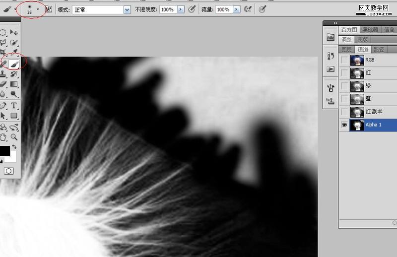 Photoshop抠图教程:儿童头发抠图教程_webjx.com