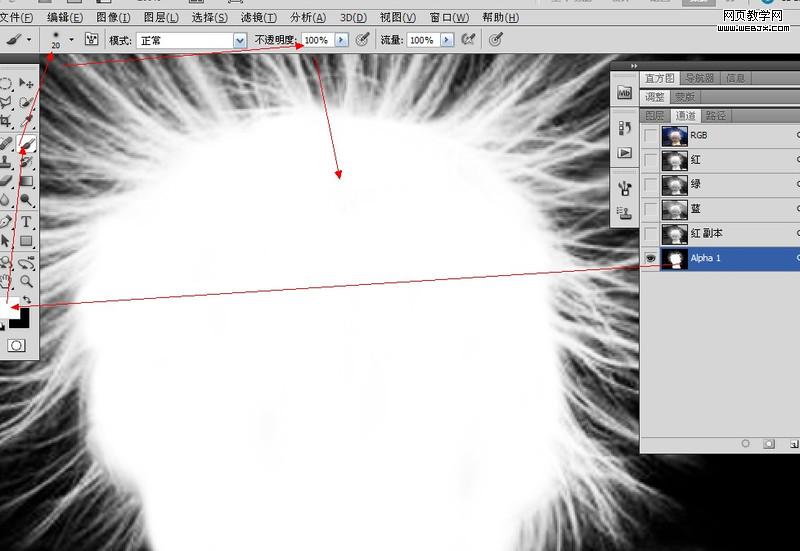 Photoshop抠图教程:儿童头发抠图教程_webjx.com