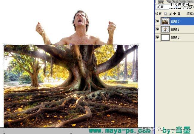 Photoshop相片合成教程:吓人的树妖_WEBJX.COM