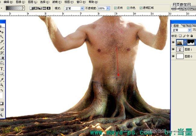 Photoshop相片合成教程:吓人的树妖_WEBJX.COM