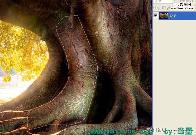 Photoshop相片合成教程:吓人的树妖_WEBJX.COM