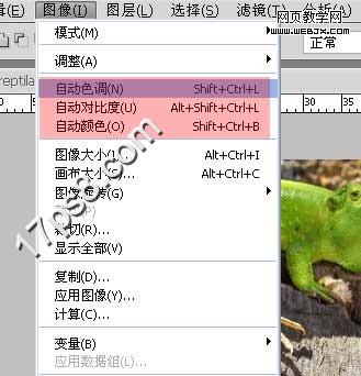 PS简单合成教程:创意合成河马和蜥蜴的怪物_webjx.com