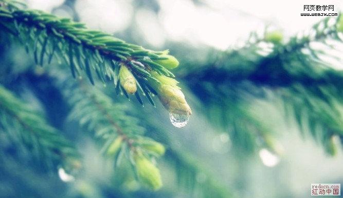 Photoshop风景图处理教程:阳光照射下的雨珠_webjx.com