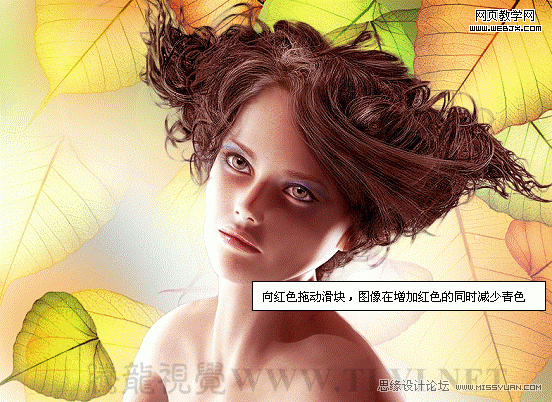 PS入门教程:色彩平衡命令调整图片色彩_webjx.com