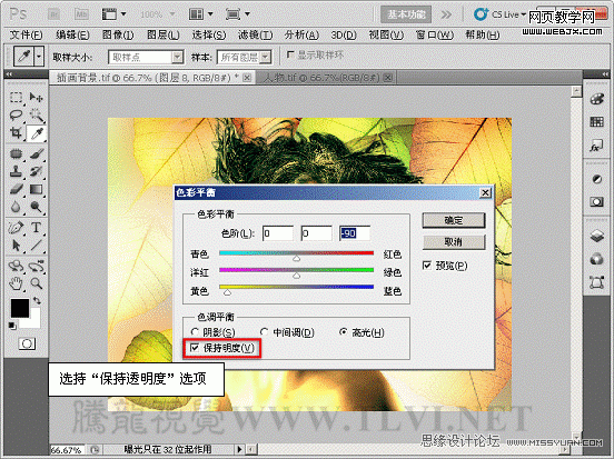 PS入门教程:色彩平衡命令调整图片色彩_webjx.com