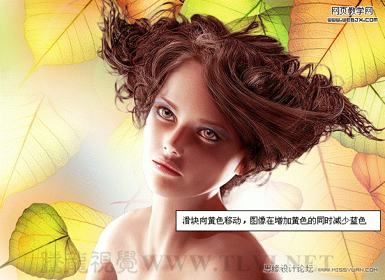 PS入门教程:色彩平衡命令调整图片色彩_webjx.com