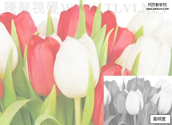 Photoshop入门基础教程:色相/饱和度命令详解_webjx.com