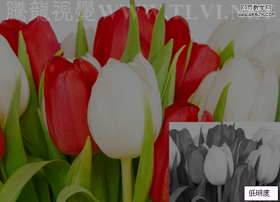 Photoshop入门基础教程:色相/饱和度命令详解_webjx.com