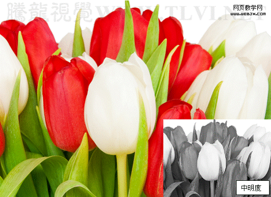 Photoshop入门基础教程:色相/饱和度命令详解_webjx.com