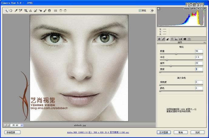 photoshop插件Camera Raw制作专业广告美女_网页教学网