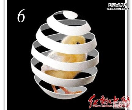Photoshop合成装在蛋壳中的小鸡