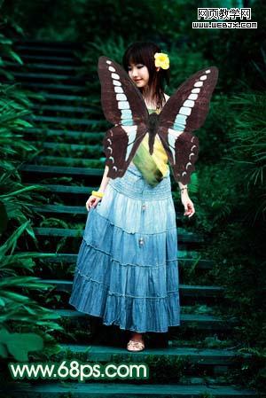 Photoshop打造一只美丽的蝴蝶精灵