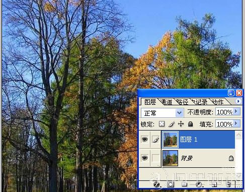 按此在新窗口浏览图片