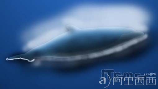 Photoshop制作可爱的卡通海豚图片