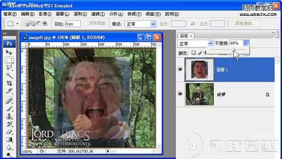 Photoshop移花接木 恶搞人面合成教程