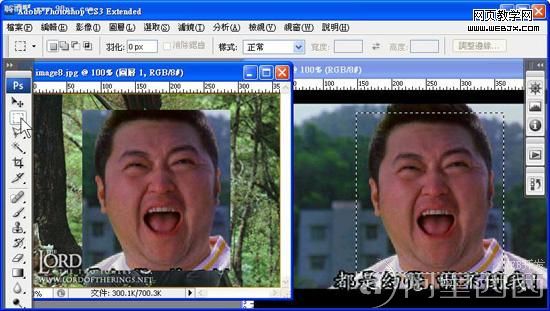 Photoshop移花接木 恶搞人面合成教程