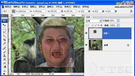 Photoshop移花接木 恶搞人面合成教程
