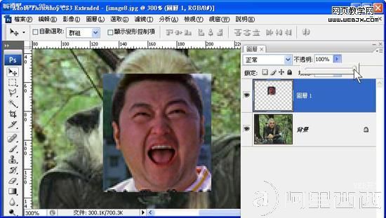 Photoshop移花接木 恶搞人面合成教程