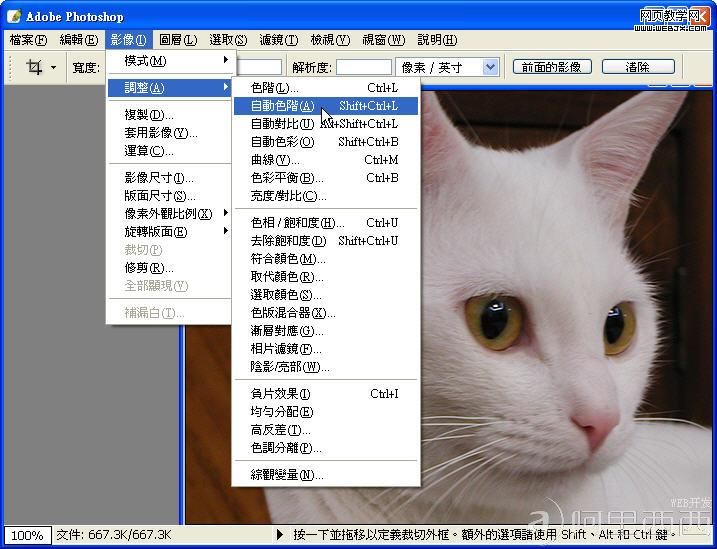 Photoshop自动色彩校正照片的色彩_爱易学习网