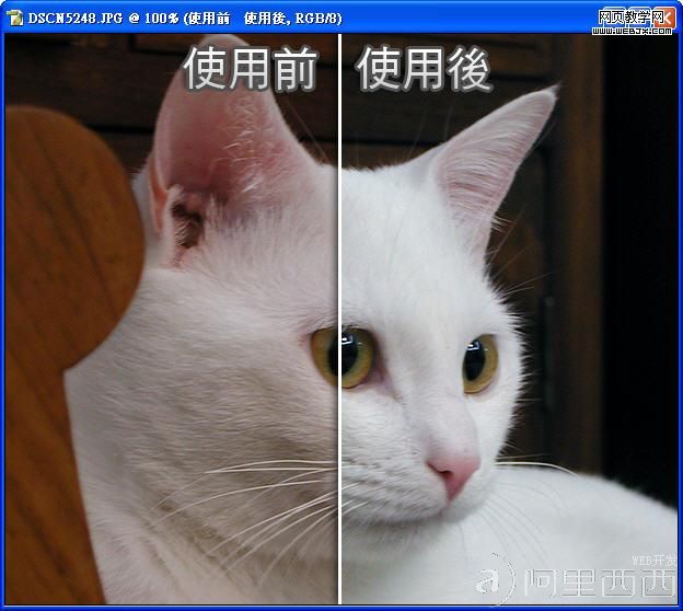Photoshop自动色彩校正照片的色彩_爱易学习网