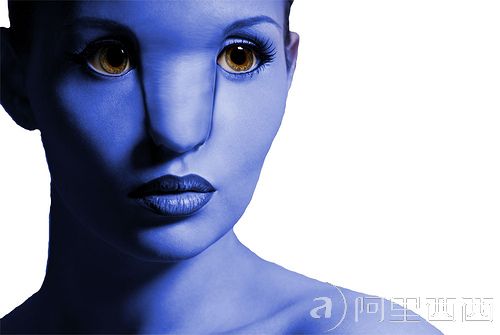 3astepwebjx.com