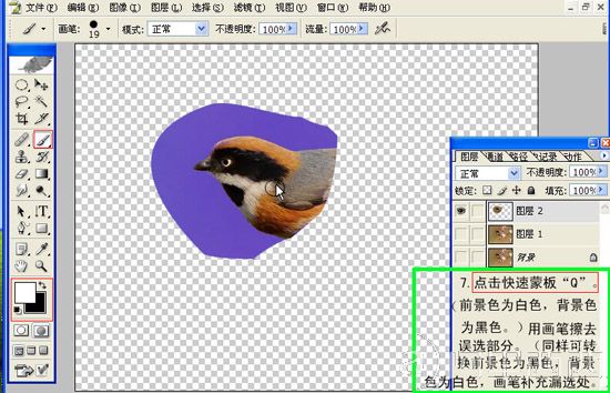 Photoshop制作GIF动态小鸟图片