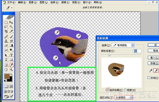 Photoshop制作GIF动态小鸟图片
