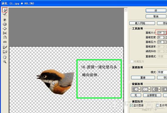 Photoshop制作GIF动态小鸟图片
